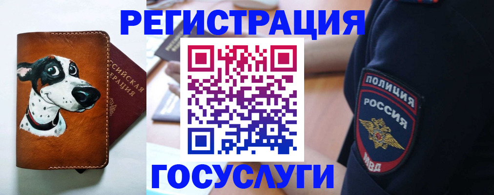 временная регистрация в квартире в Щиграх